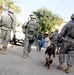 ISF uses U.S. dog team for foot patrol in Baghdad