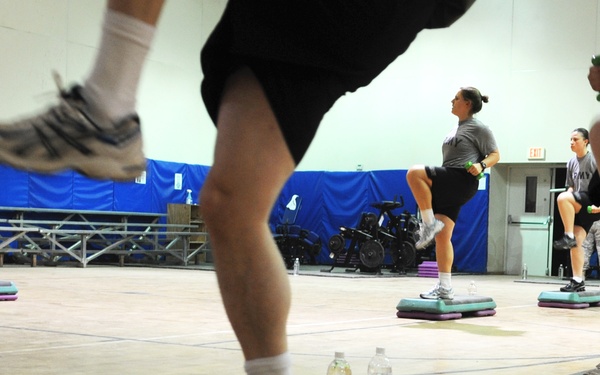 Keeping Army, Air Force in 'step'