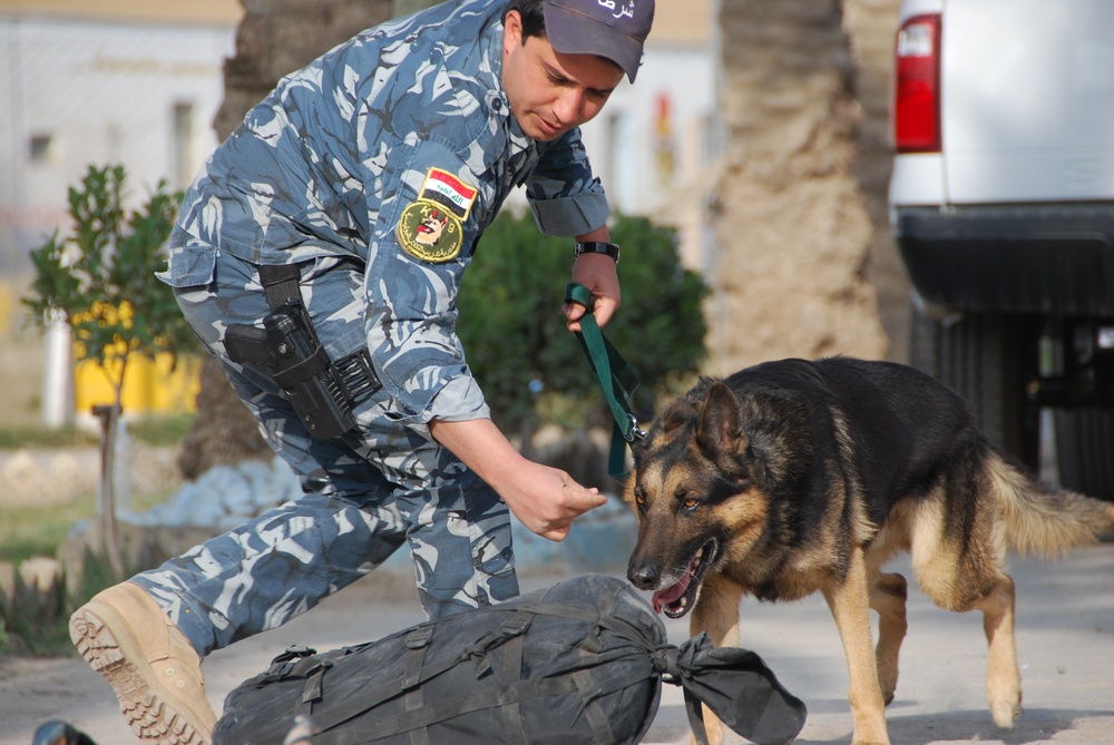Iraq Requests More Bomb-Sniffing Dogs