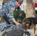 Iraq Requests More Bomb-Sniffing Dogs