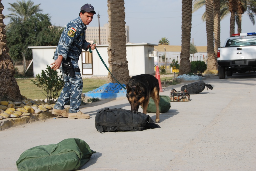Iraq Requests More Bomb-Sniffing Dogs