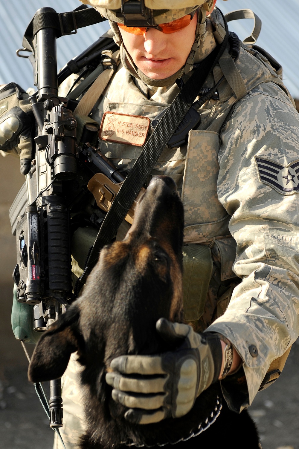 K-9 at Bagram Airfield