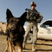 K-9 at Bagram Airfield