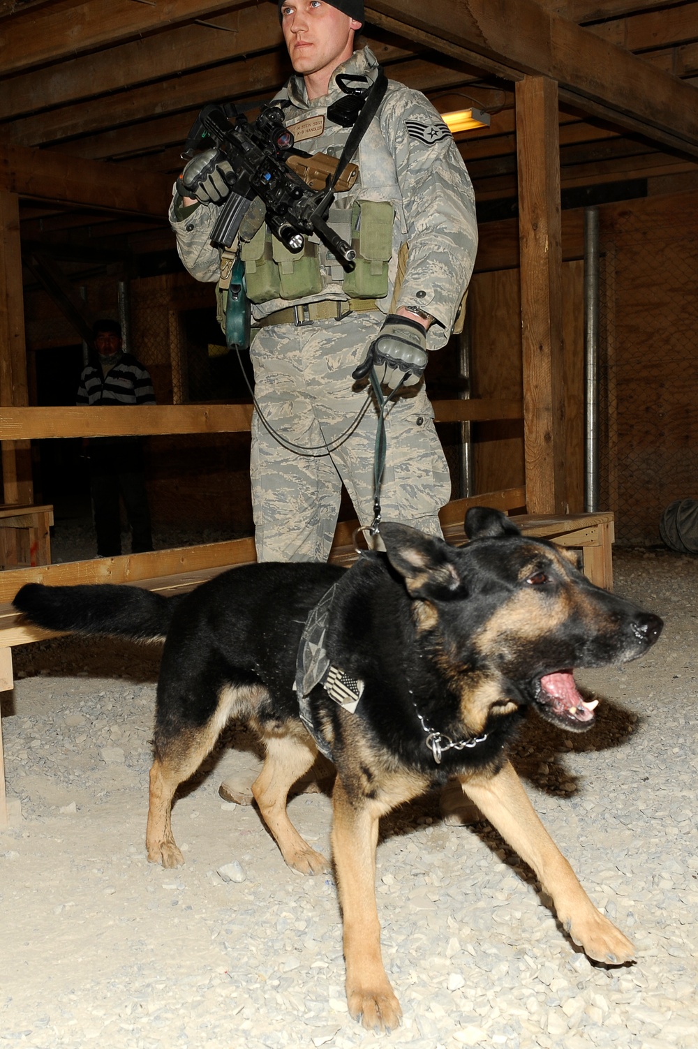 K-9 at Bagram Airfield
