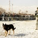 K-9 at Bagram Airfield