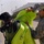 61st Joint Chemical Training