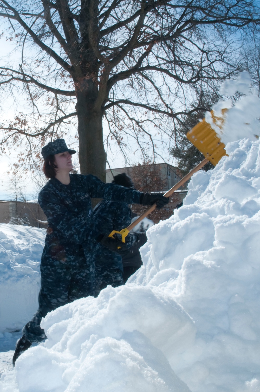 Blizzard 2010 Cleanup