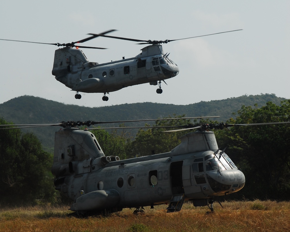 The image shows three U.S. Marines CH-46 Sea Knight tandem-rotor helicopters in a field setting with wooded hills in the background. One helicopter is airborne and hovering low, while two others are on the ground with rotors spinning. The 'MARINES' markings are visible on the fuselages, indicating these are U.S. Marine Corps aircraft.