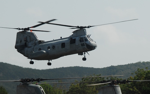 The image shows three U.S. Marines CH-46 Sea Knight tandem-rotor helicopters in a field setting with wooded hills in the background. One helicopter is airborne and hovering low, while two others are on the ground with rotors spinning. The 'MARINES' markings are visible on the fuselages, indicating these are U.S. Marine Corps aircraft.
