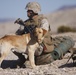 Boots and paws on the ground for Operation Enduring Freedom