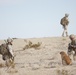 Boots and paws on the ground for Operation Enduring Freedom