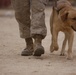 Boots and paws on the ground for Operation Enduring Freedom