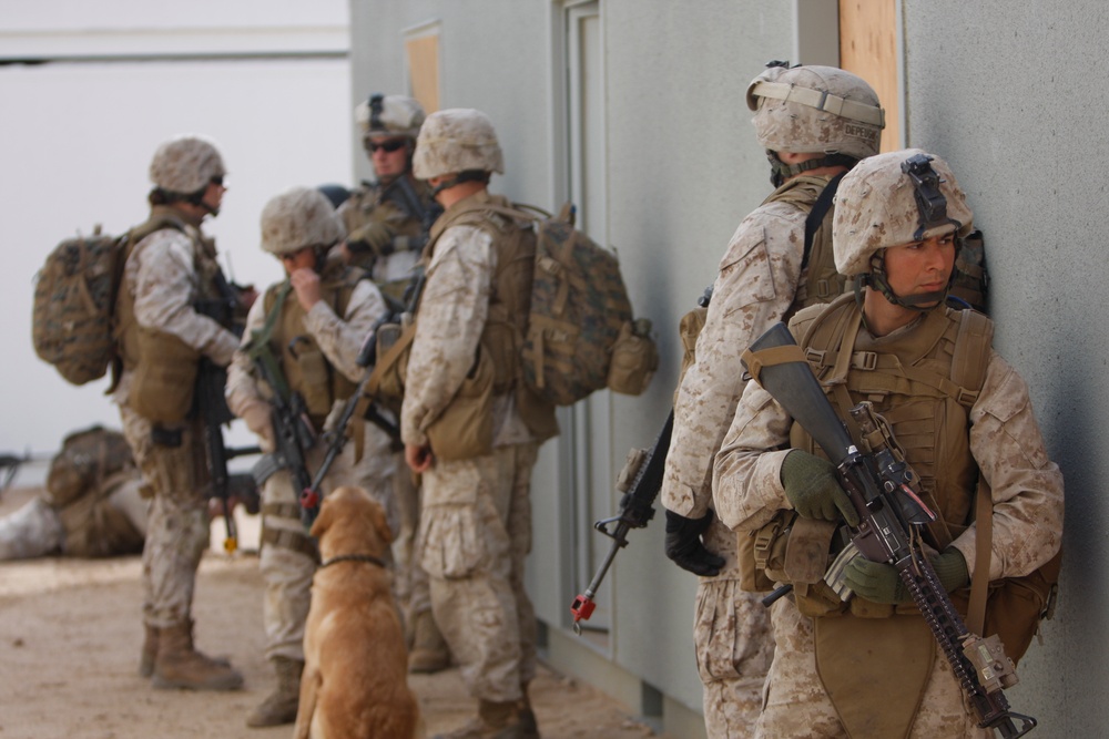 Boots and paws on the ground for Operation Enduring Freedom