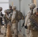 Boots and paws on the ground for Operation Enduring Freedom