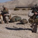 Boots and paws on the ground for Operation Enduring Freedom