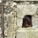 Haiti Relief Operations in Cap-Haitien