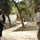 217th Military Police train Iraqi police at the Criminal Justice Center The image shows a joint security operation with a U.S. Army Military Police soldier and a local security force member patrolling an outdoor compound area surrounded by trees. Multiple personnel are visible in the background, including individuals on a rooftop in overwatch positions. The setting appears to be a Middle Eastern location based on the architecture, vegetation, and uniforms present.