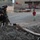 Security Exercise