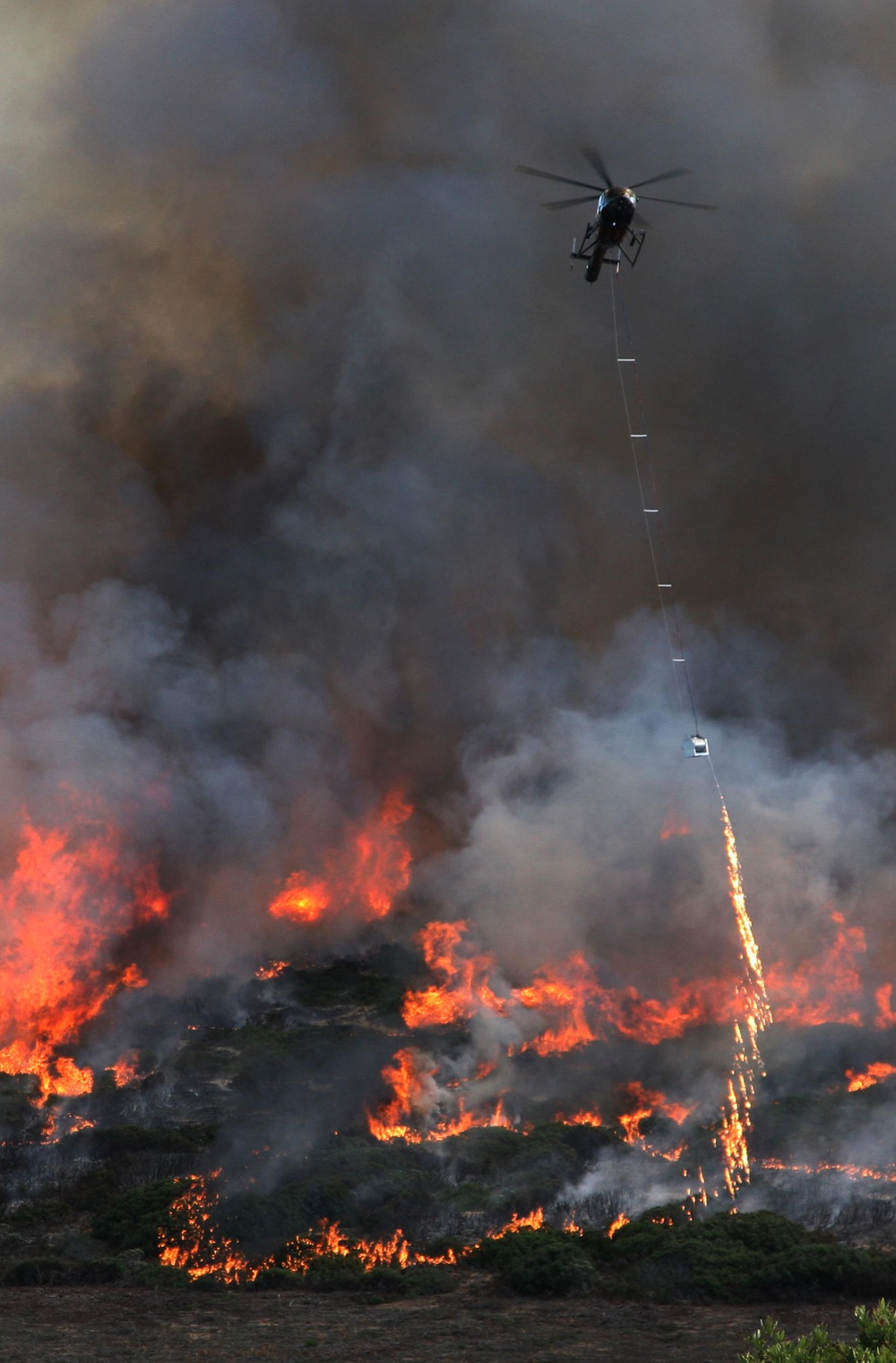 Sacramento District Removes Ordnance, Preserves Native Plants With Controlled Burn