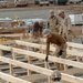 Detail Payne Improves Conditions, Quality of Life in Afghanistan