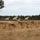 HIMARS Live Fire Certification