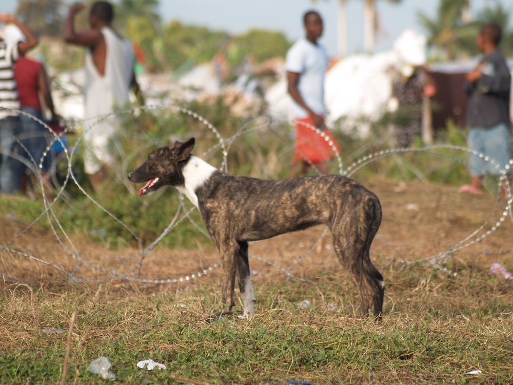 Joint Logistics Command Supports Day 19 of World Food Program Food Distribution in Haiti