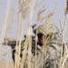 Soldiers continue Operation Helmand Spider
