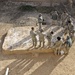 Soldiers continue Operation Helmand Spider