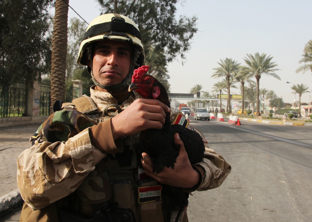Backscatter Vehicle Check Point