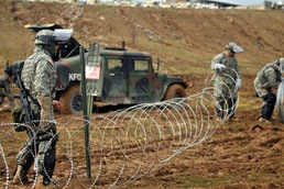 Validation exercise shows Multi-National Group-East ready to carry out mission