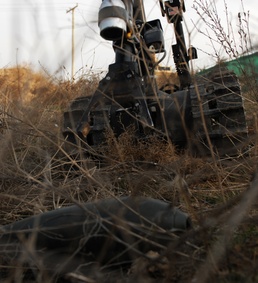 Training Empowers Engineers in IED Fight