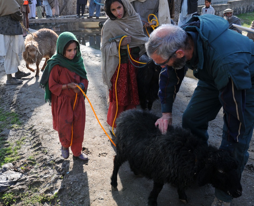 Veterinary Care a priority for Afghan families