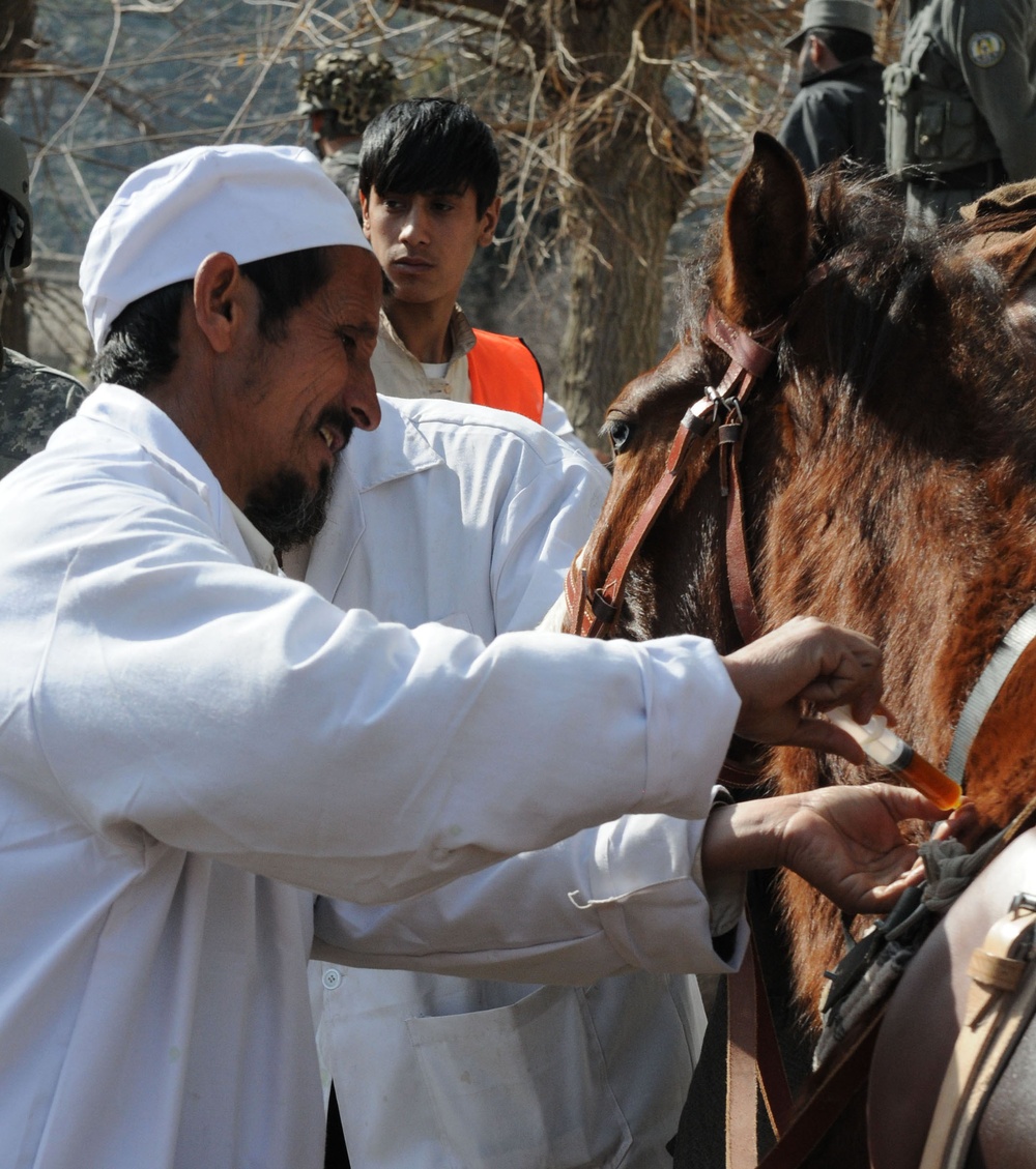 Veterinary Care a priority for Afghan families