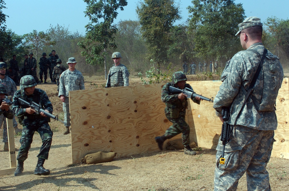 Cobra Gold 2010