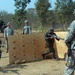 Cobra Gold 2010