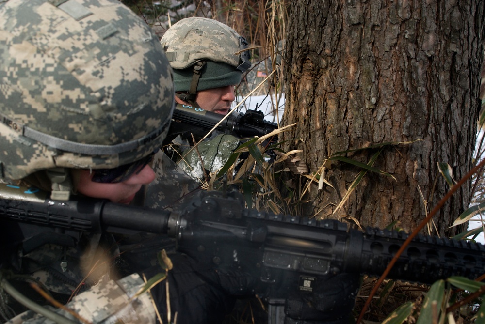 Exercise North Wind 2010: South Carolina National Guard Trains in Japan