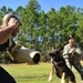 Military Working Dogs