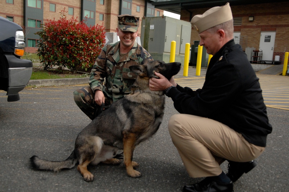 Two military personnel are interacting with a German Shepherd dog in a parking lot outside a brick building. One individual is wearing woodland camouflage BDU uniform with a patrol cap, while the other is dressed in a dark Navy-style uniform with a white garrison cap. Both are crouching down to engage with the dog, which appears calm and attentive.