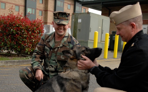 Two military personnel are interacting with a German Shepherd dog in a parking lot outside a brick building. One individual is wearing woodland camouflage BDU uniform with a patrol cap, while the other is dressed in a dark Navy-style uniform with a white garrison cap. Both are crouching down to engage with the dog, which appears calm and attentive.