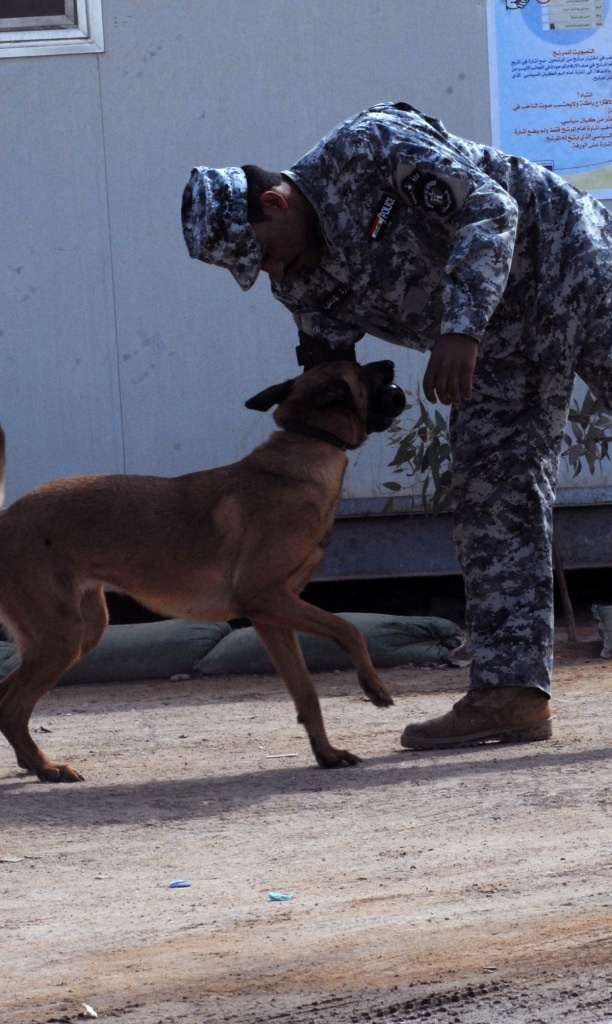 Iraqi canine unit helps secure national elections
