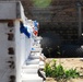 Karbala Agricultural Buzz: Beekeeping Class and Other Initiatives Create Economic Independence for Locals