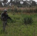 Cache Search