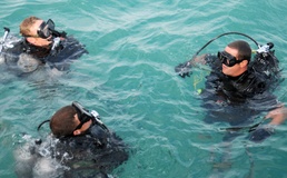 Ship bottom search training