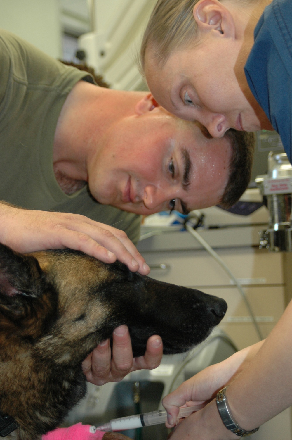 Combat Center canine visits 'doggie dentist' for root canal