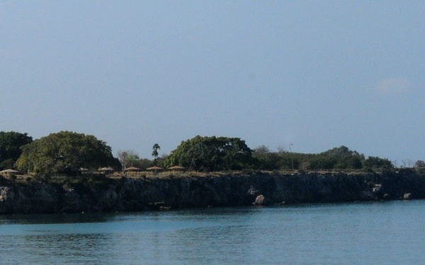 Operation Unified Response