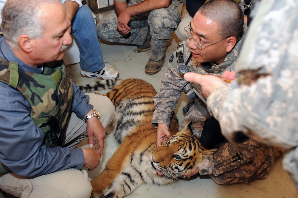 Iraqi, U.S. veterinarians partner to help Baghdad Zoo animals