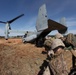 Battalion Landing Team 3/8, India Company, Helo Lift