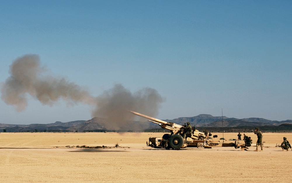 Marine &amp;amp; French Artillery Training