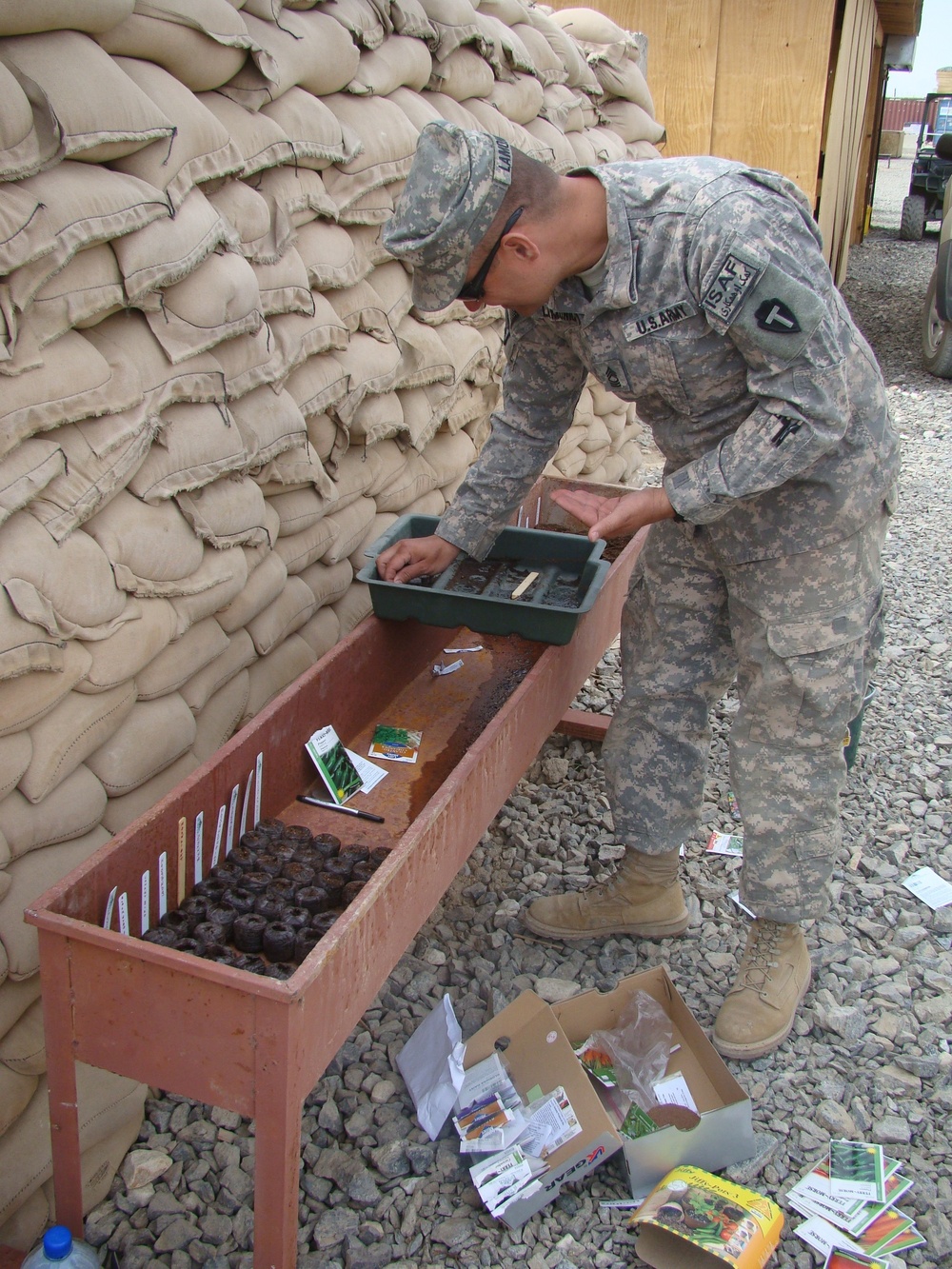 Soldier works on seedling program