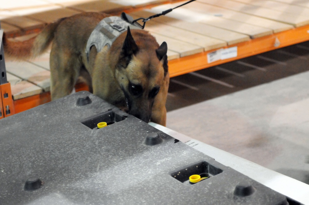 K-9 teams enjoy scent of training